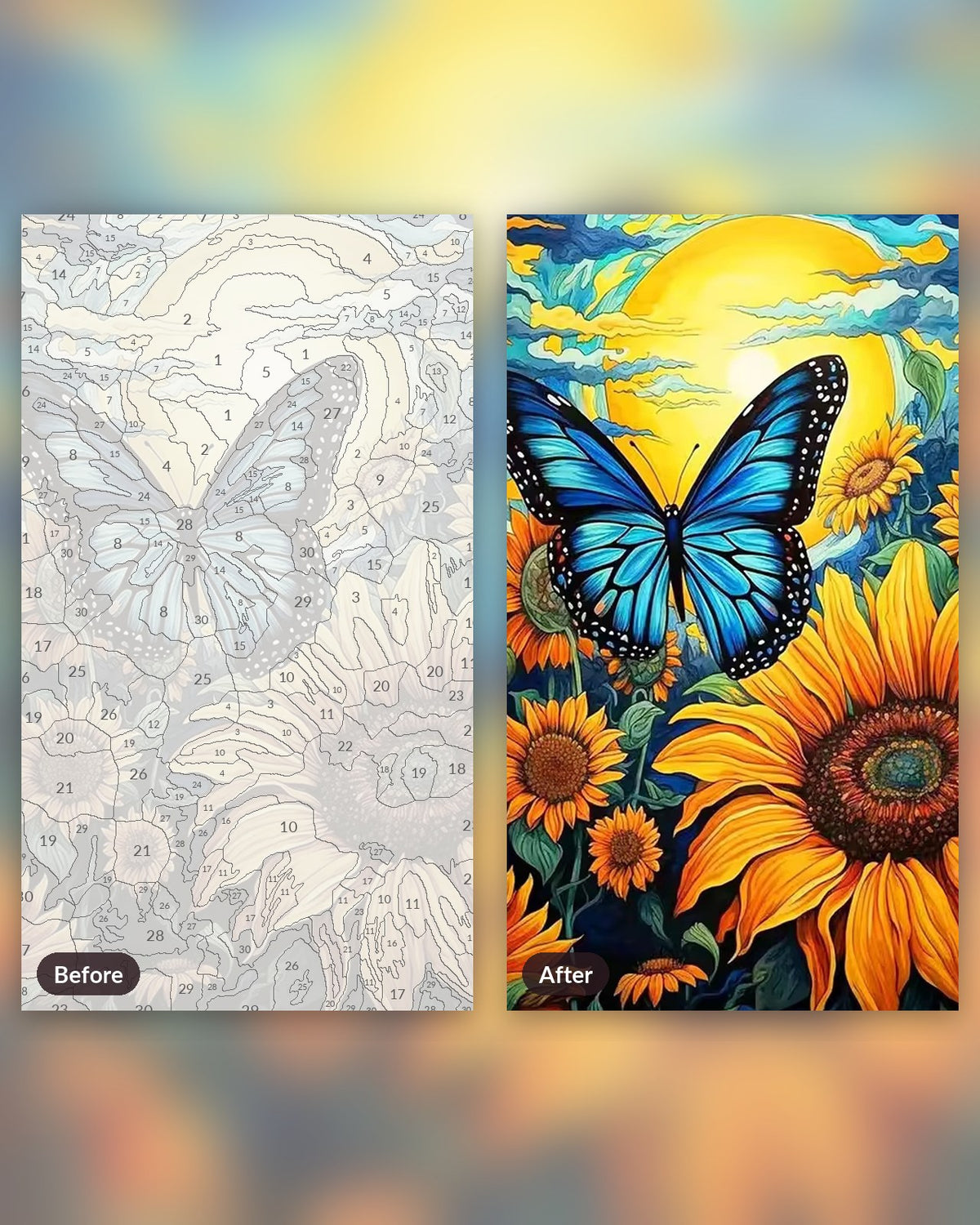 Butterfly Sunflower paint by numbers kit, before and after
