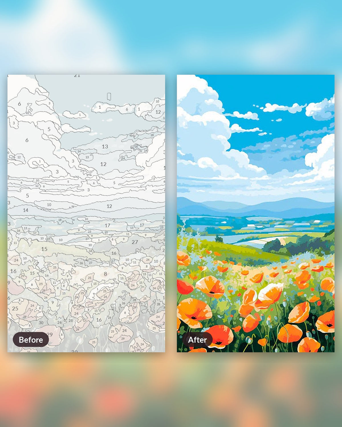 Flower Field paint by numbers kit, before and after