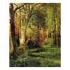 Kit Premium Pittura con i Numeri Scena nel Bosco