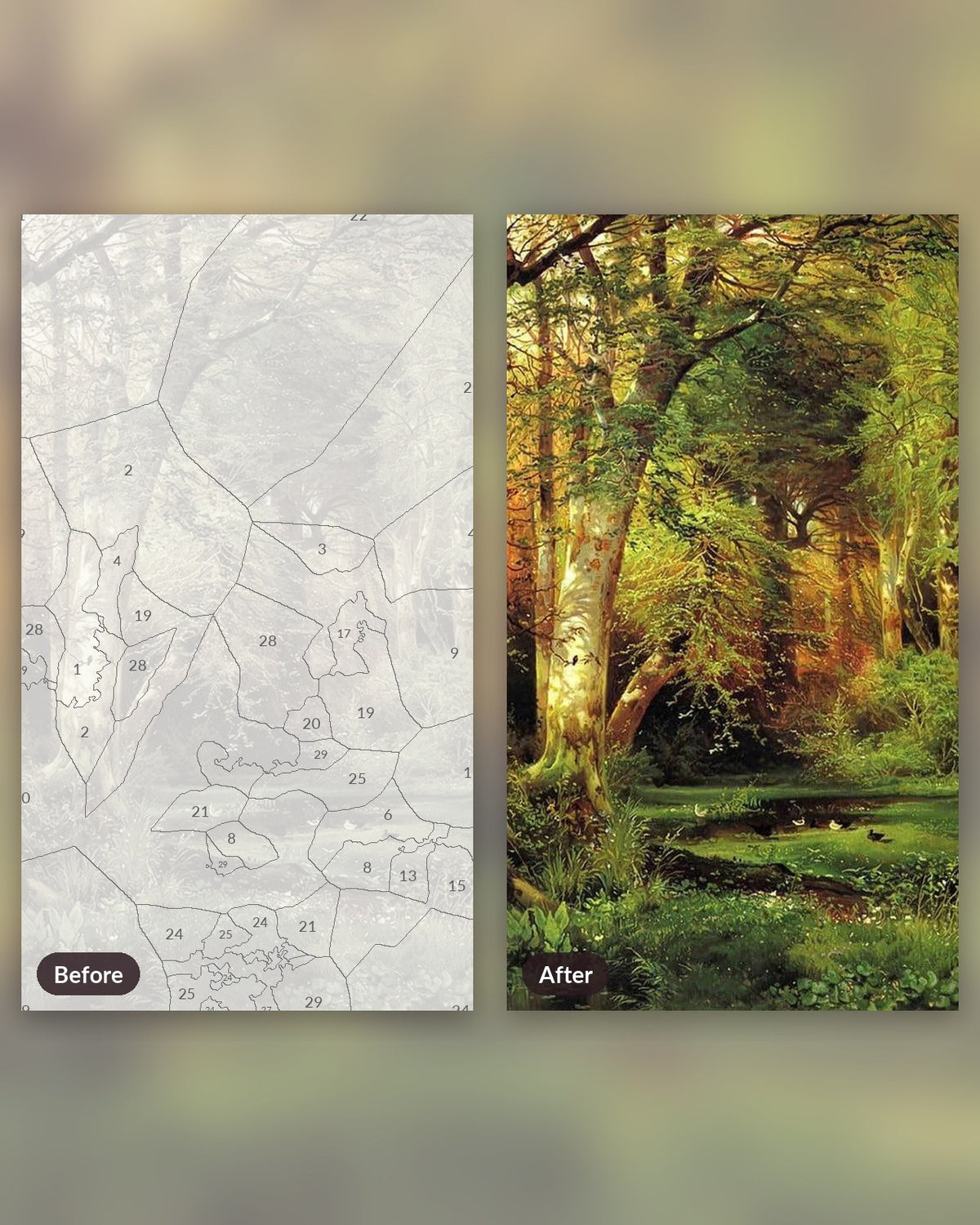 Forest Scene paint by numbers kit, before and after