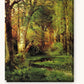 Forest Scene paint by numbers kit on stretched canvas