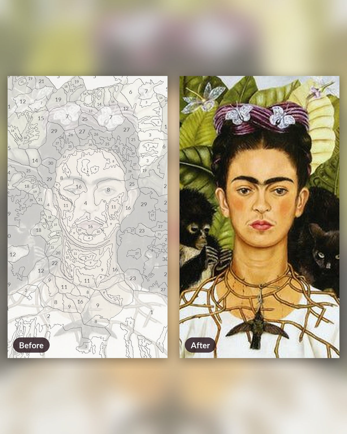Frida Kahlo paint by numbers kit, before and after