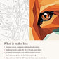 Close-up of the Geometric Fox in Orange and Teal canvas texture and printed numbers