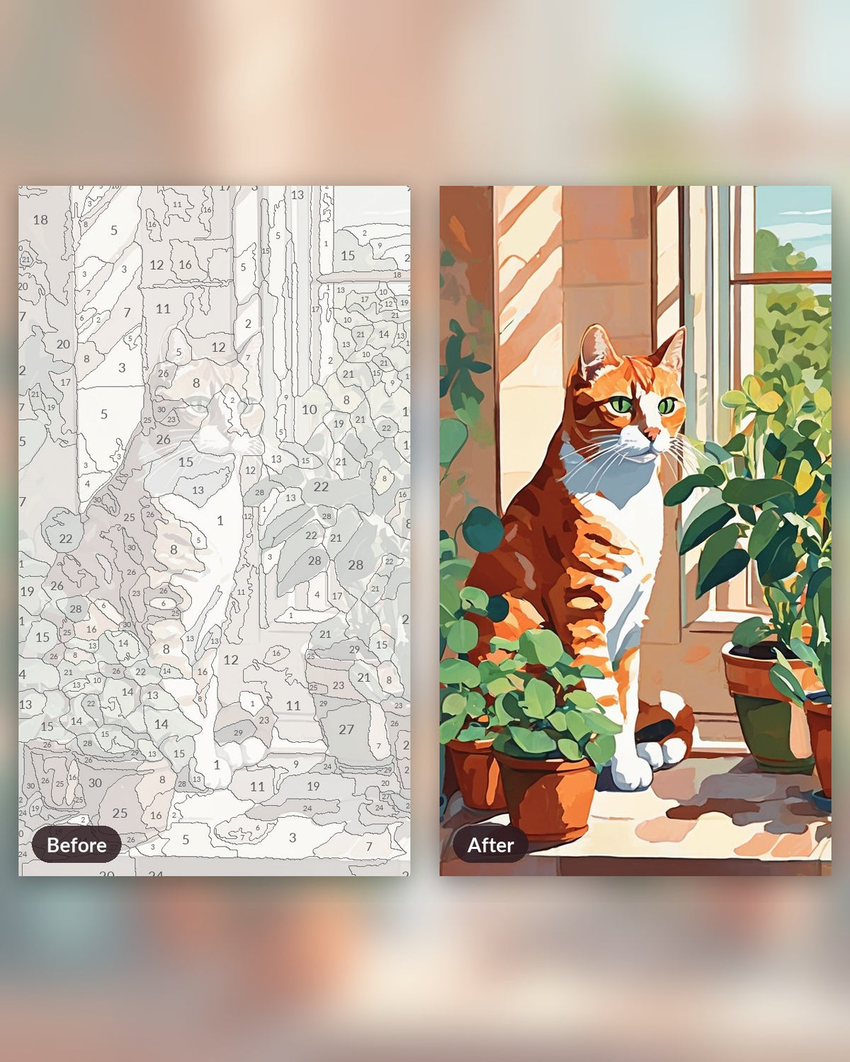 Ginger Cat at the Window paint by numbers kit, before and after