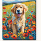 Golden Puppy in the Meadow paint by numbers kit on stretched canvas