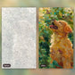 Golden Retriever paint by numbers kit, before and after