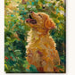 Golden Retriever paint by numbers kit on stretched canvas
