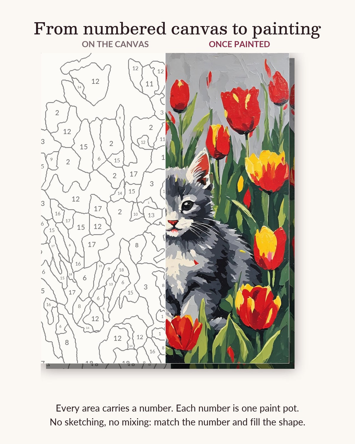 Grey Kitten among the Tulips numbered canvas next to the finished painting