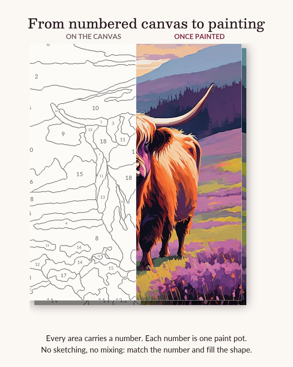 Highland Cow on the Misty Hillside numbered canvas next to the finished painting