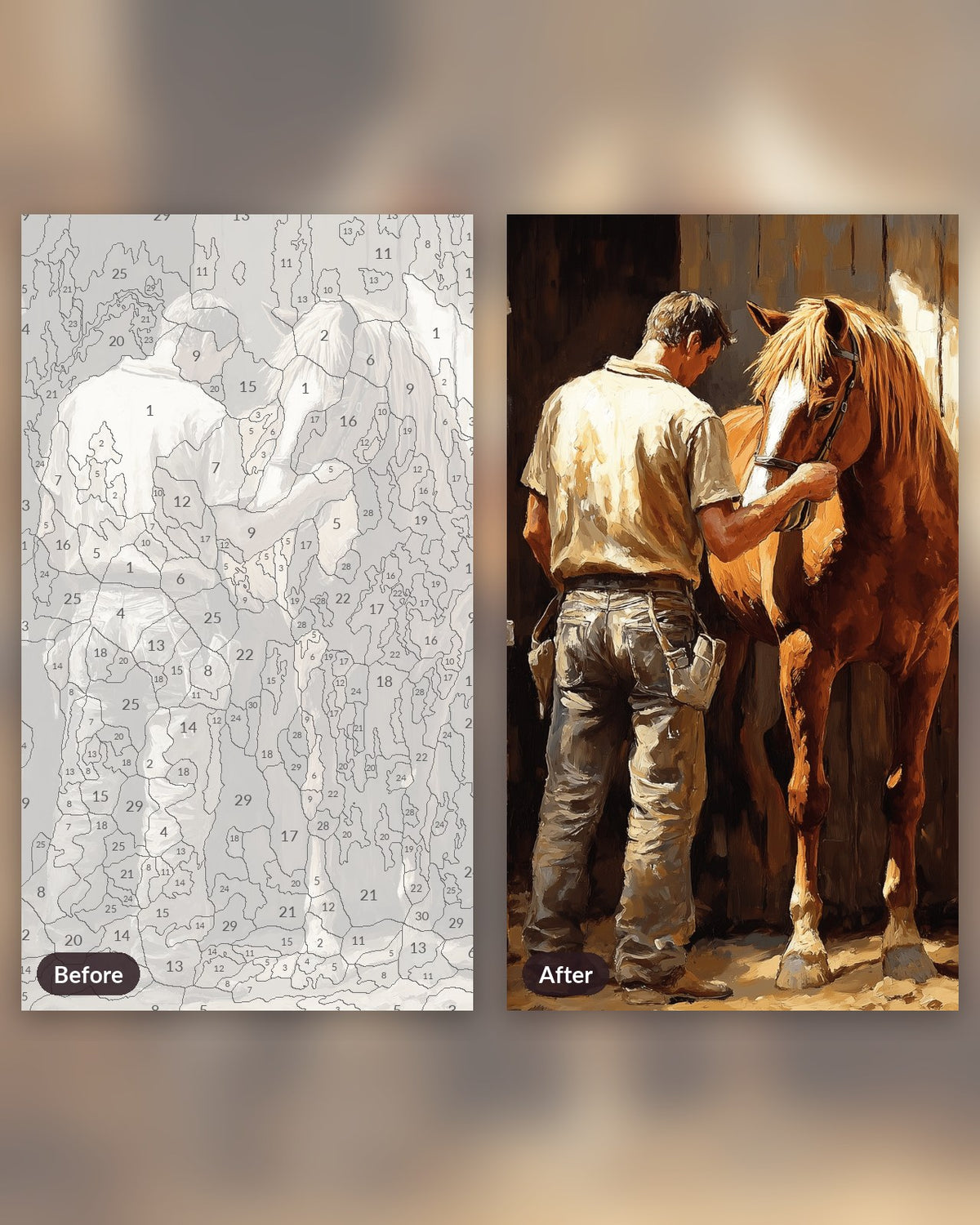 Horse Trainer paint by numbers kit, before and after