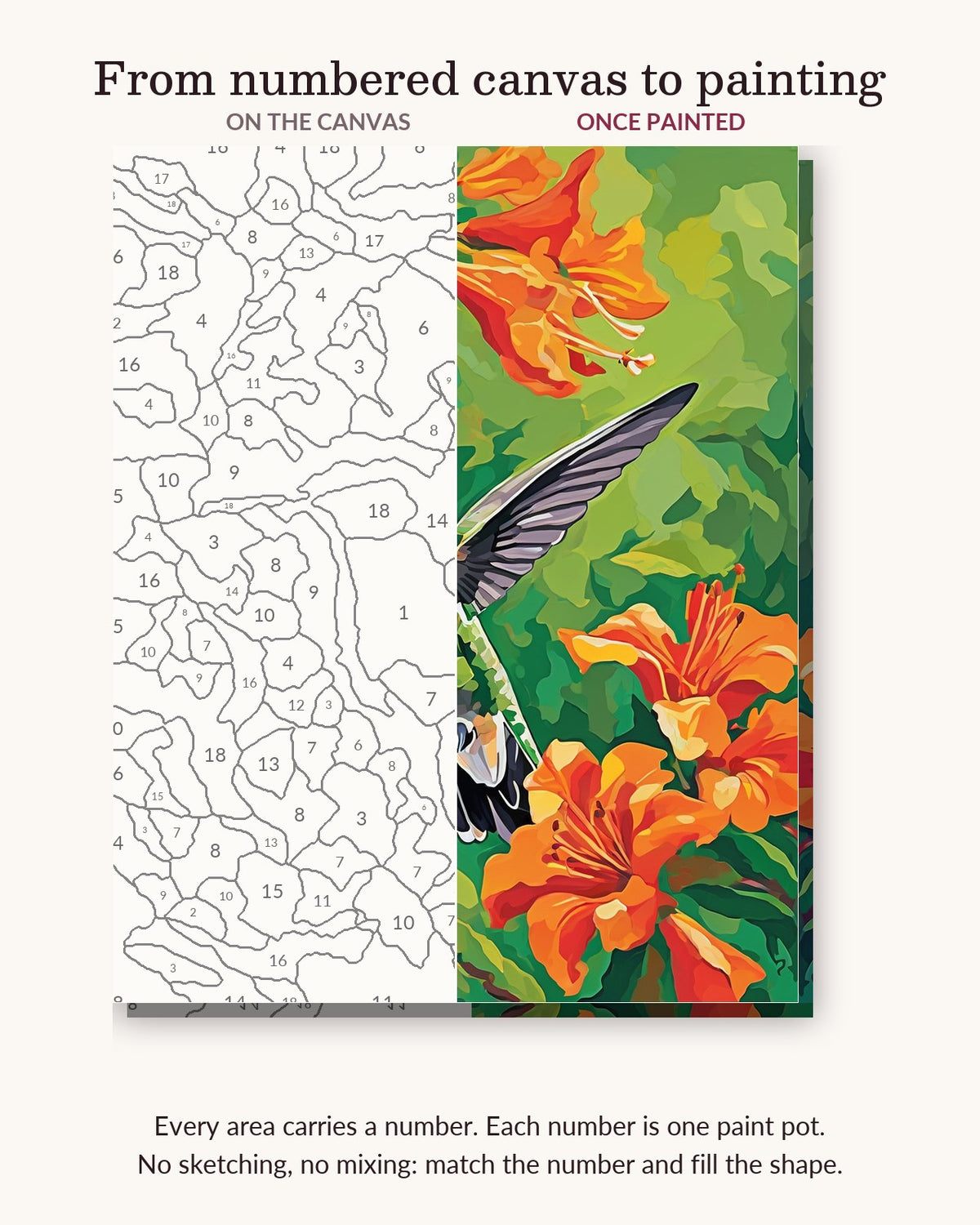 Hummingbird and Orange Trumpet Flowers numbered canvas next to the finished painting