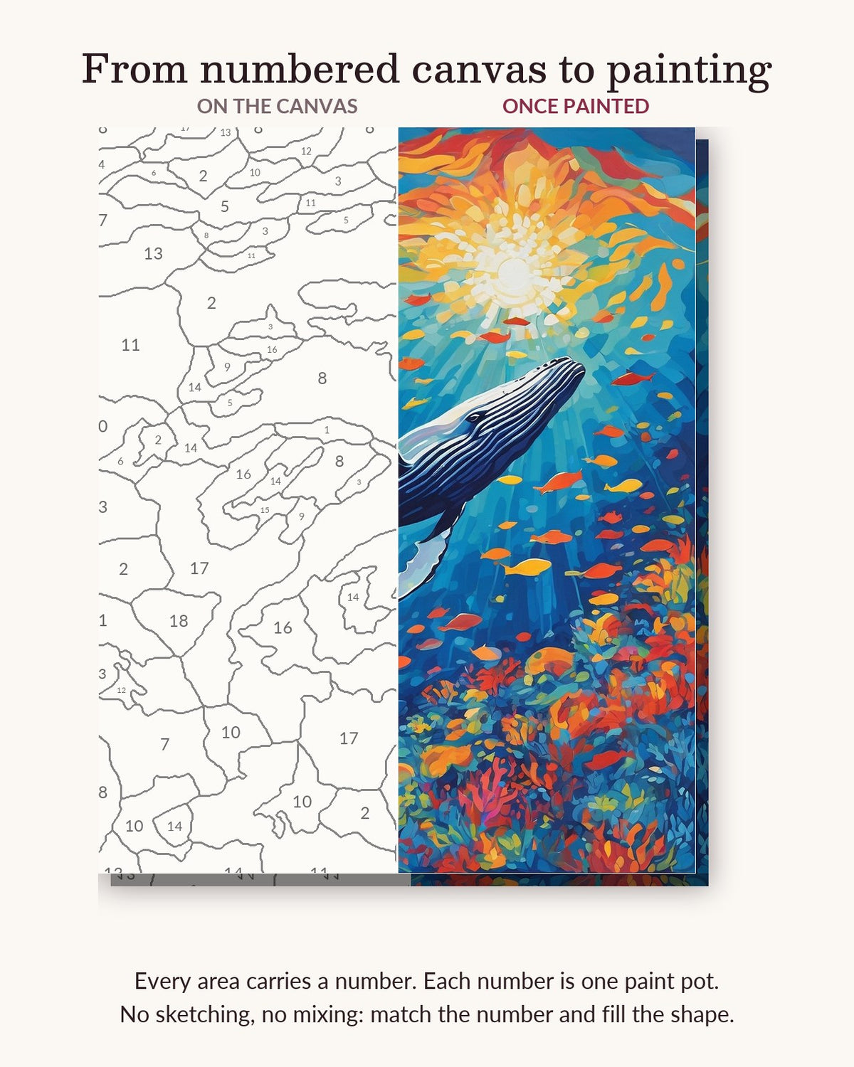 Humpback Whale Among Colorful Fish numbered canvas next to the finished painting