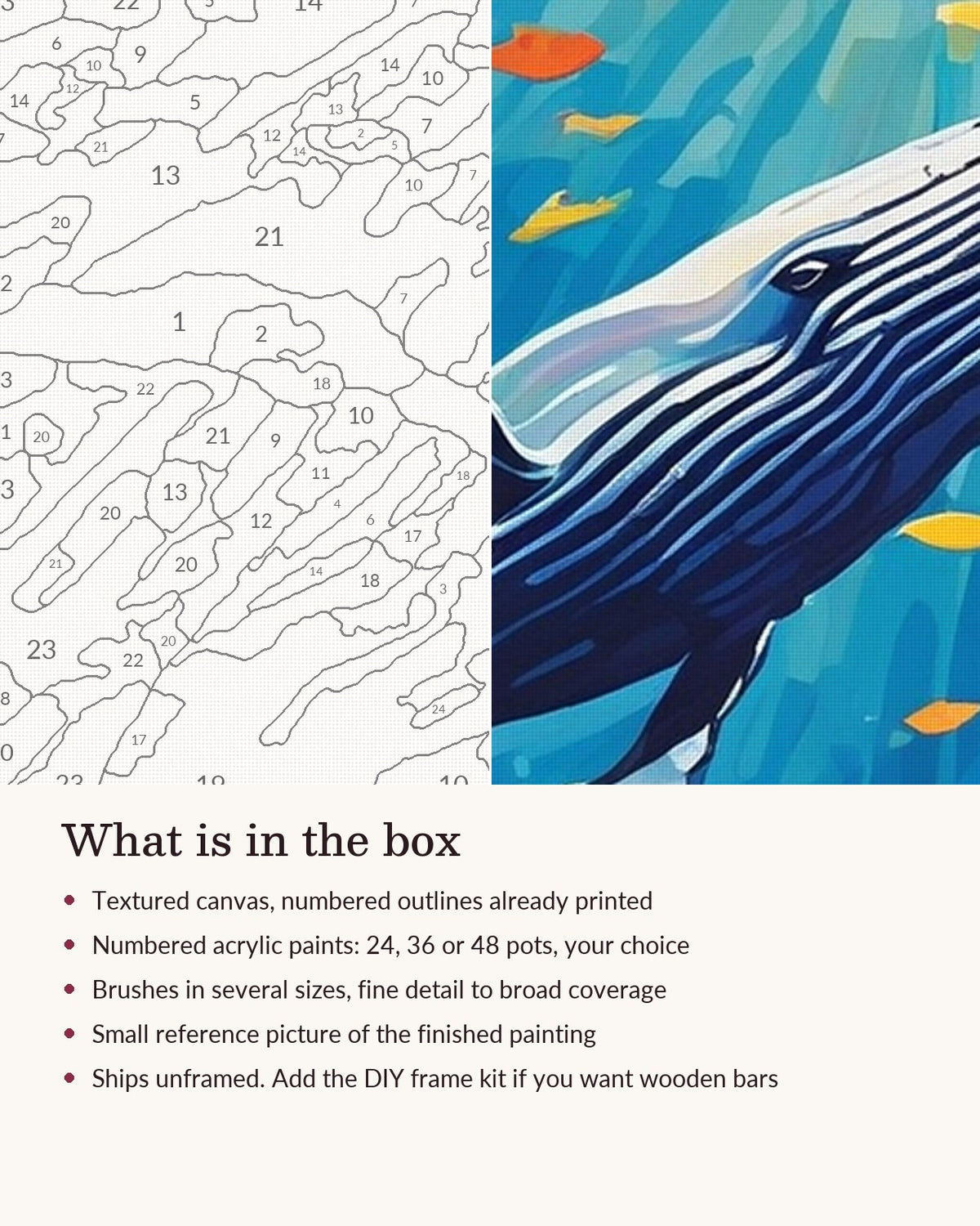 Close-up of the Humpback Whale Among Colorful Fish canvas texture and printed numbers