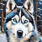 Husky in the Snowfall paint by numbers kit, Siberian husky with blue eyes in falling snow
