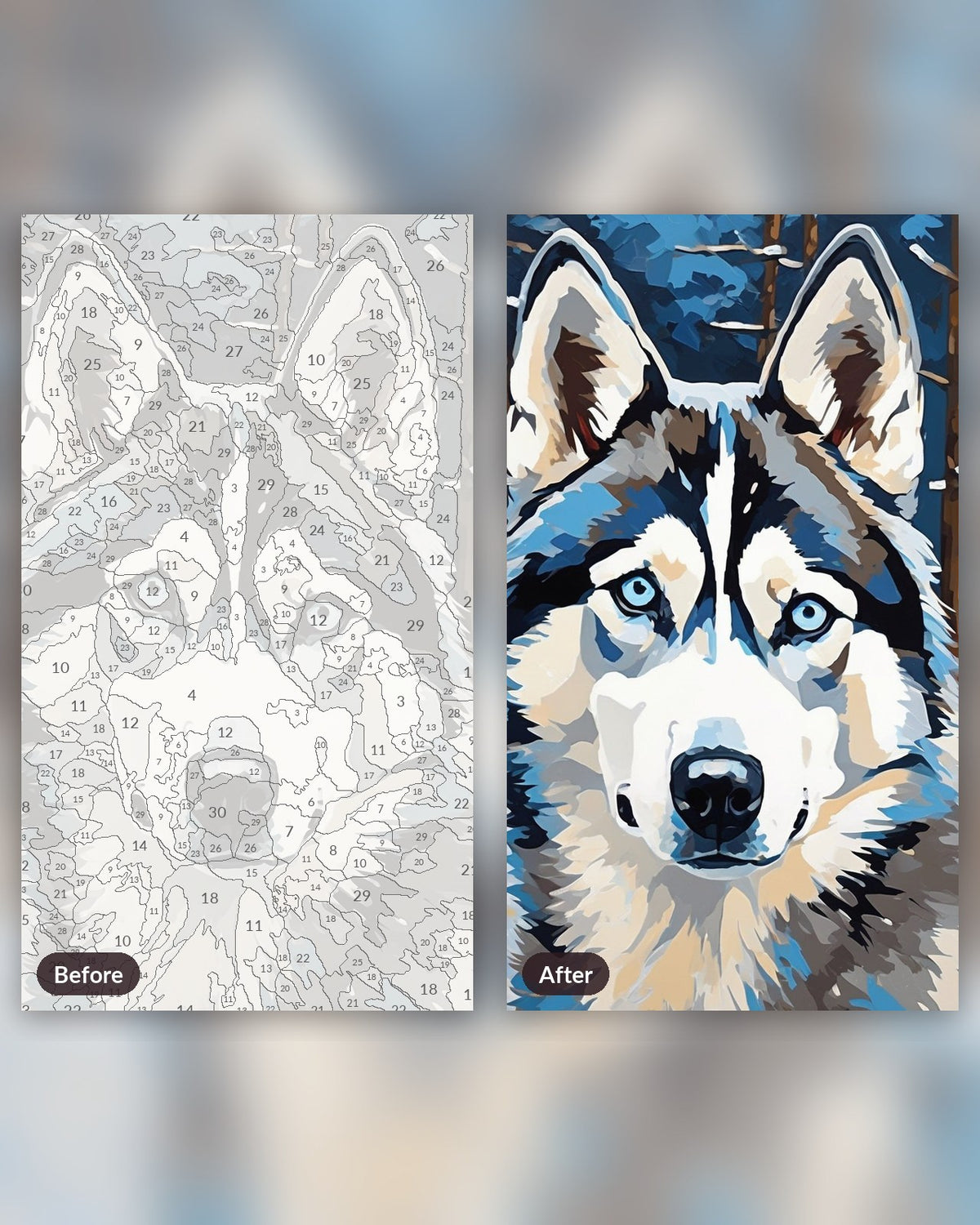 Husky in the Snowfall paint by numbers kit, before and after