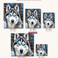 Husky in the Snowfall canvas sizes from 12 x 12 to 23.5 x 23.5 inches