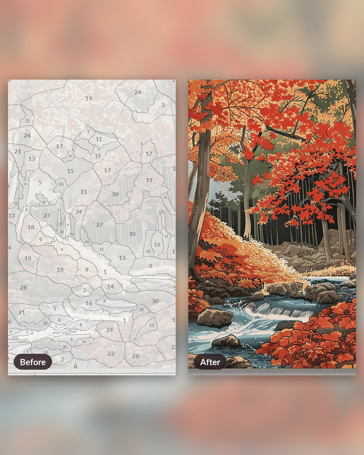 The Last Leaves paint by numbers kit, before and after