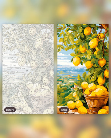 Lemon Riches paint by numbers kit, before and after