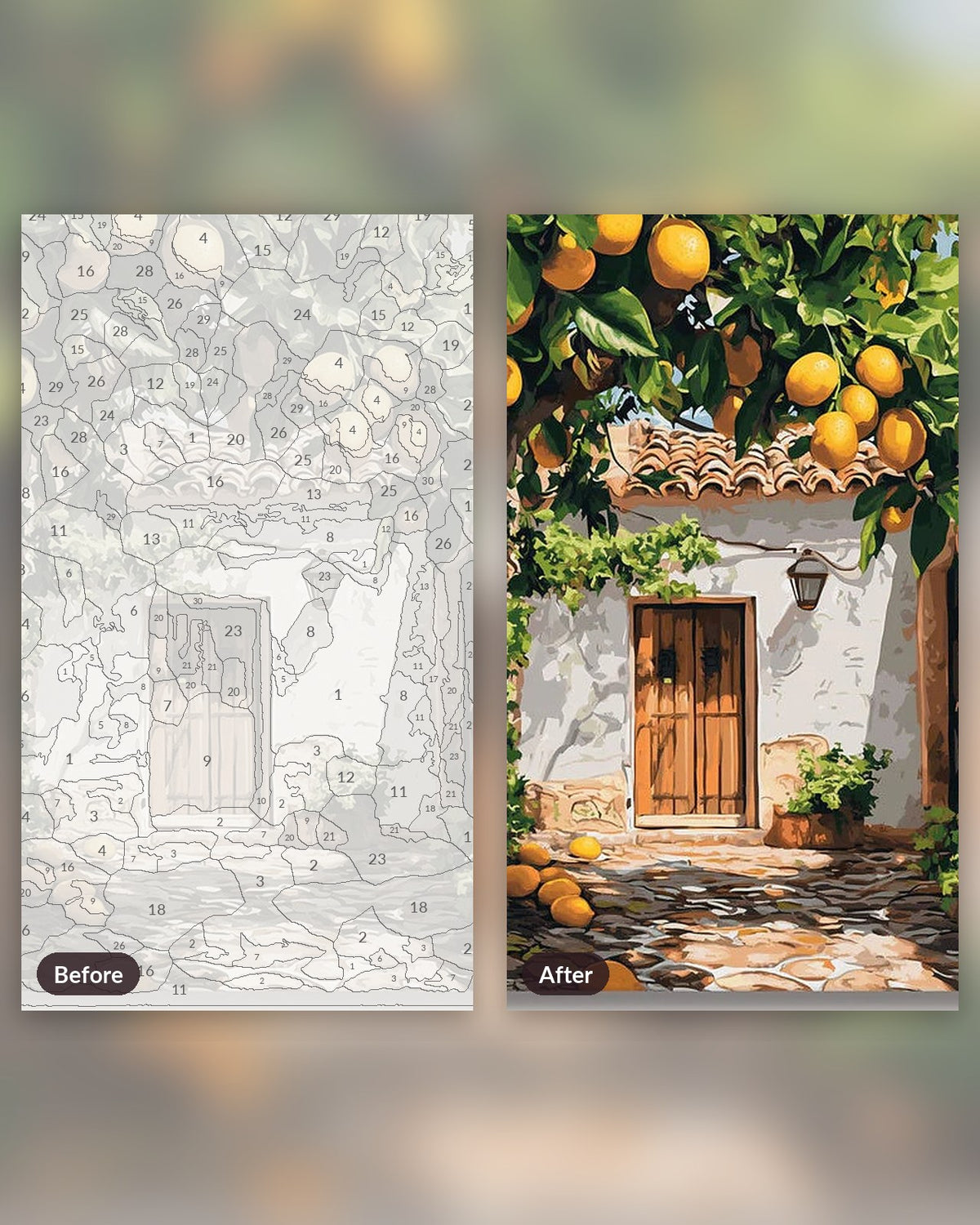 Zesty Yard paint by numbers kit, before and after