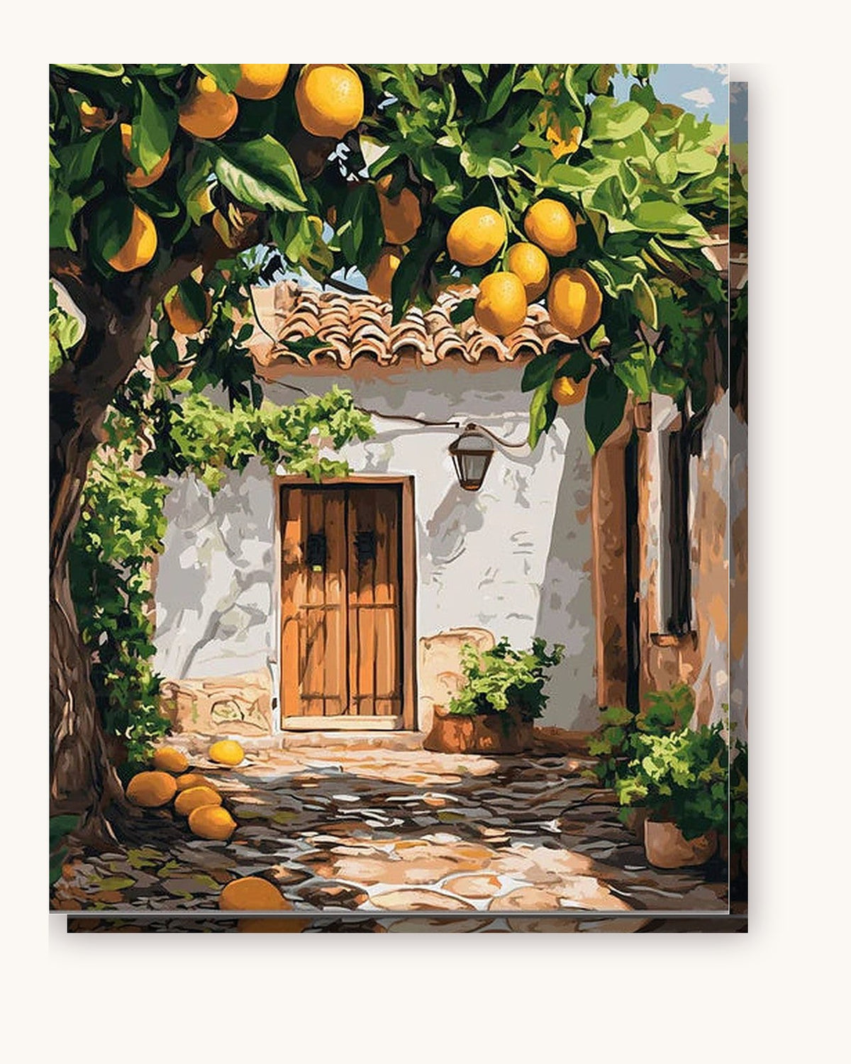 Zesty Yard paint by numbers kit on stretched canvas