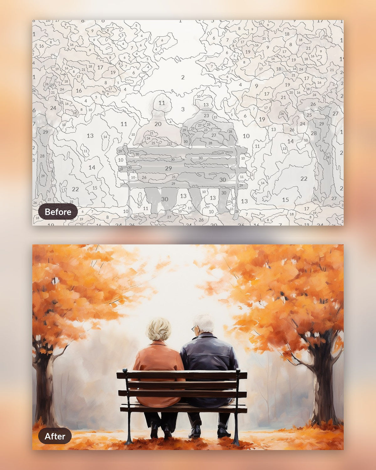 Lifelong Lovers paint by numbers kit, before and after