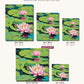 Lily Pad Frog and Lotus canvas sizes from 12 x 12 to 23.5 x 23.5 inches