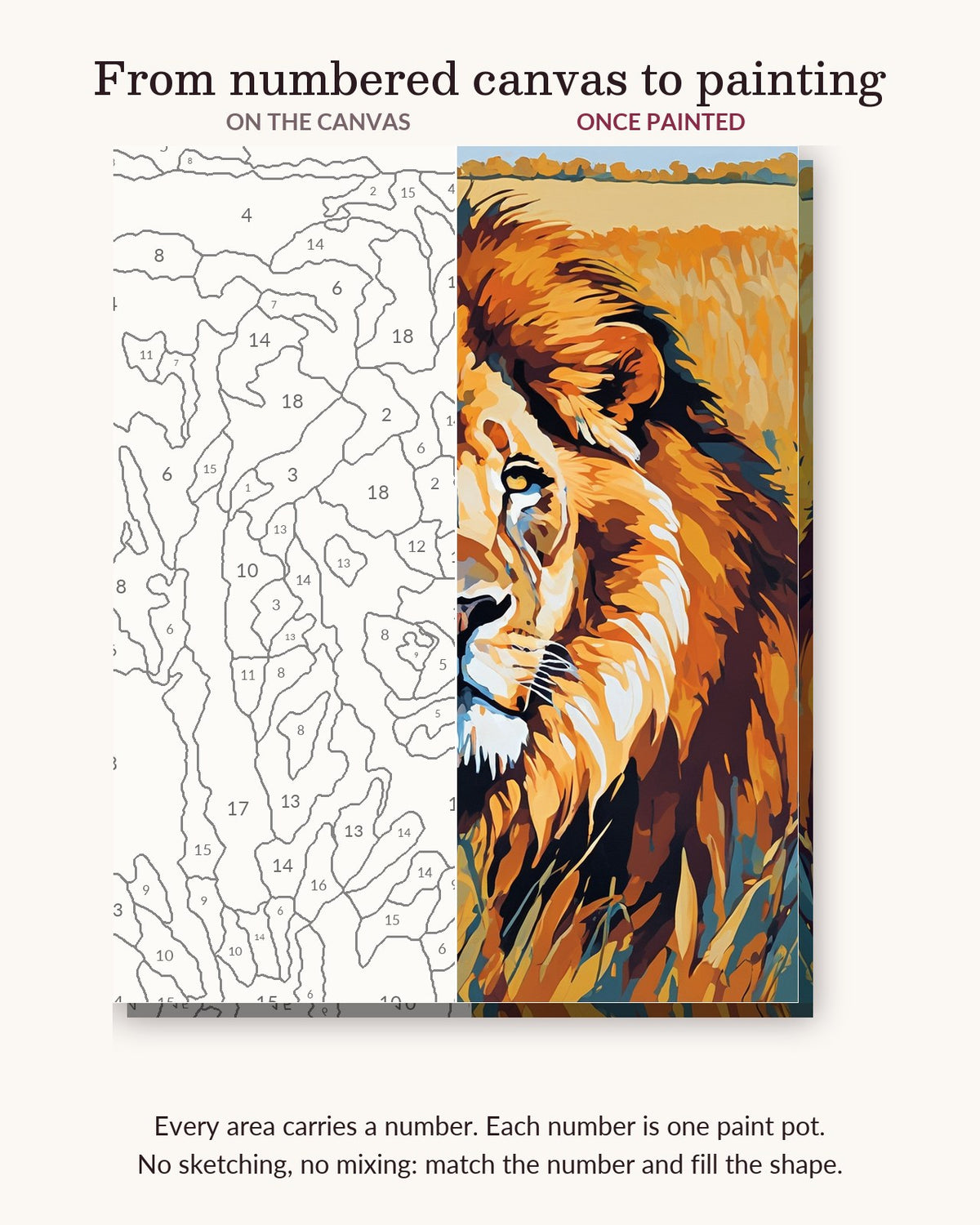 Lion in the Golden Grass numbered canvas next to the finished painting