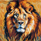 male lion with a full mane in tall golden grass, paint by numbers kit
