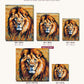 Lion in the Golden Grass canvas sizes from 12 x 12 to 23.5 x 23.5 inches