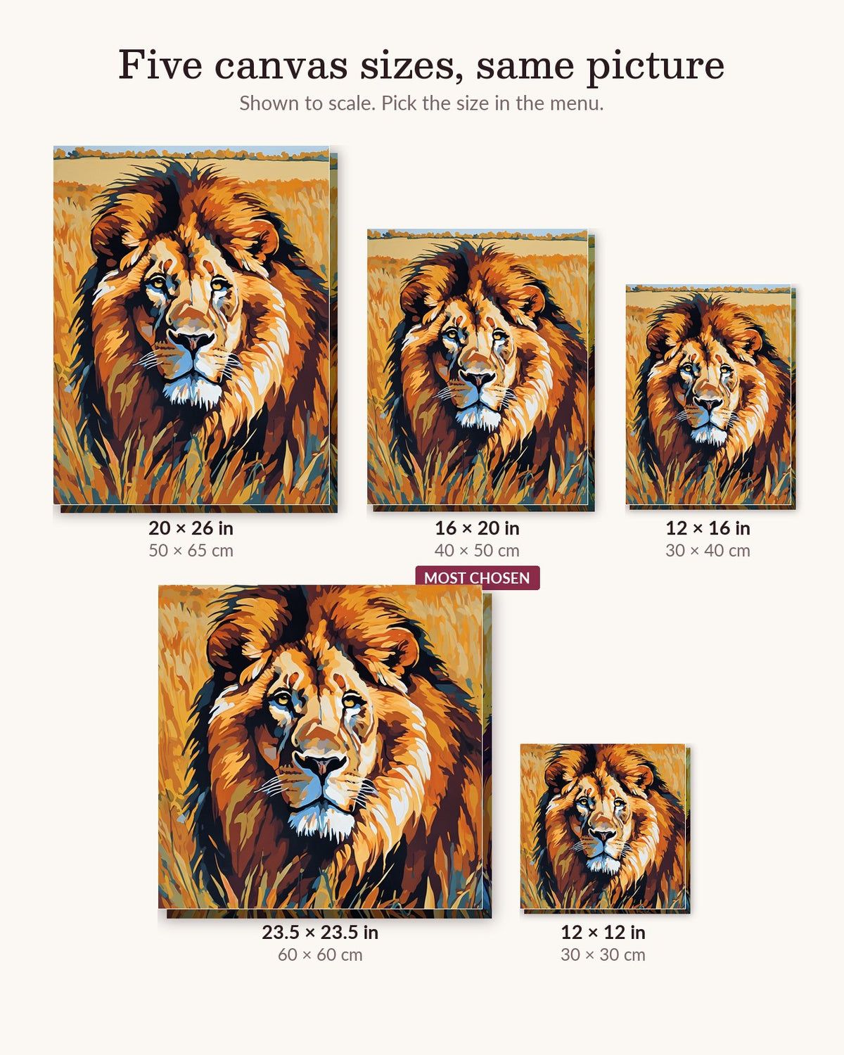 Lion in the Golden Grass canvas sizes from 12 x 12 to 23.5 x 23.5 inches