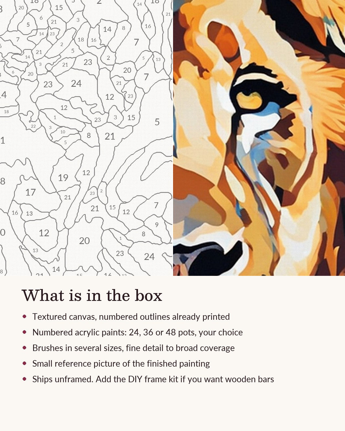 Close-up of the Lion in the Golden Grass canvas texture and printed numbers