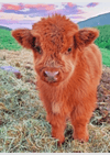 Little Cow - Artistry By Numbers