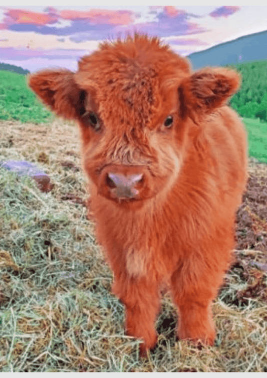 Little Cow - Artistry By Numbers