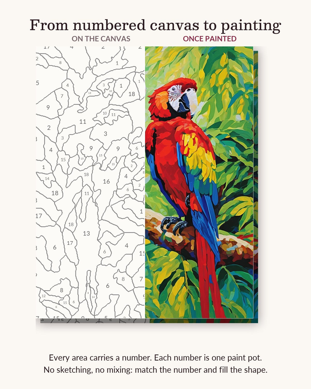 Macaws in the Rainforest numbered canvas next to the finished painting