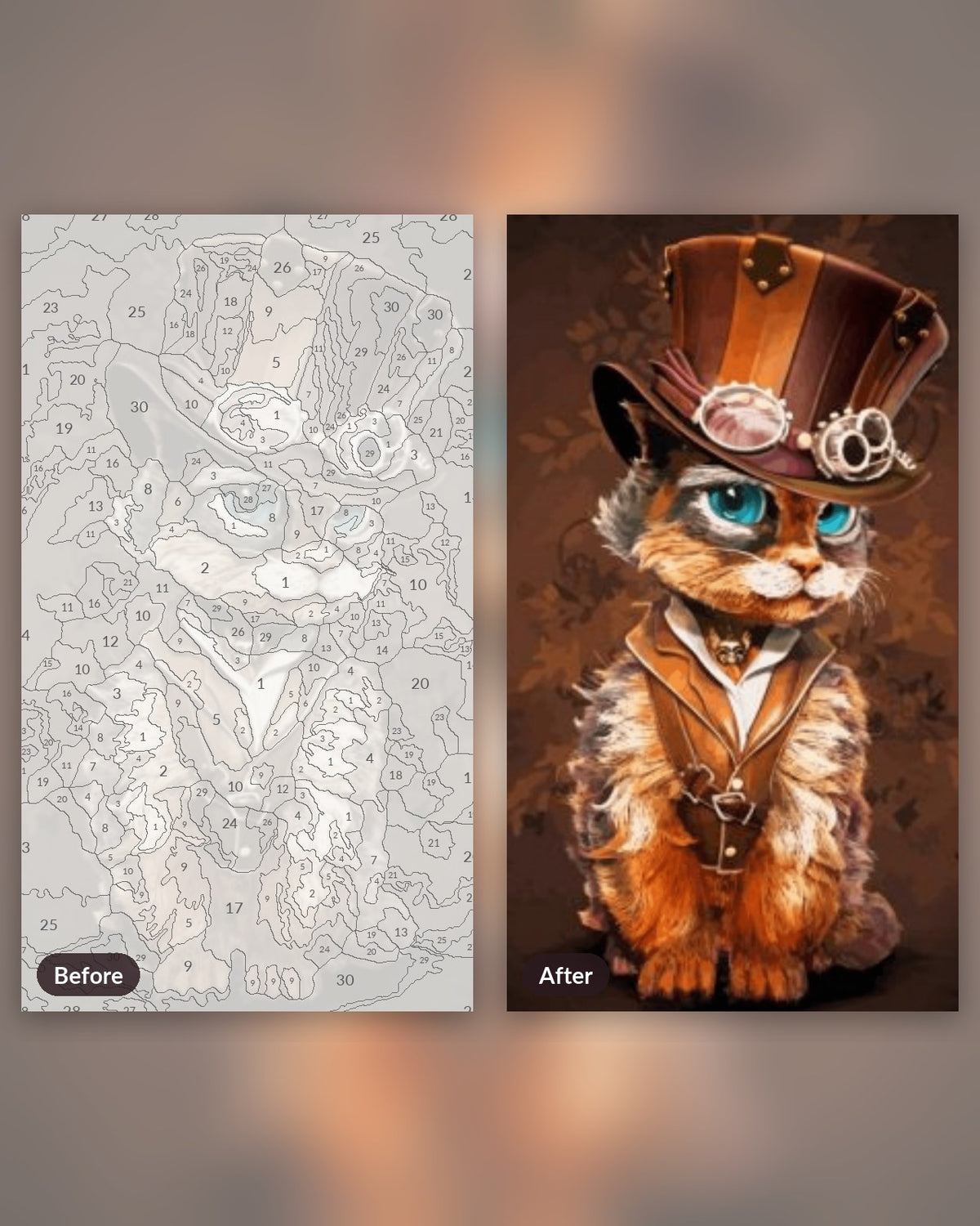 Magical Cat paint by numbers kit, before and after
