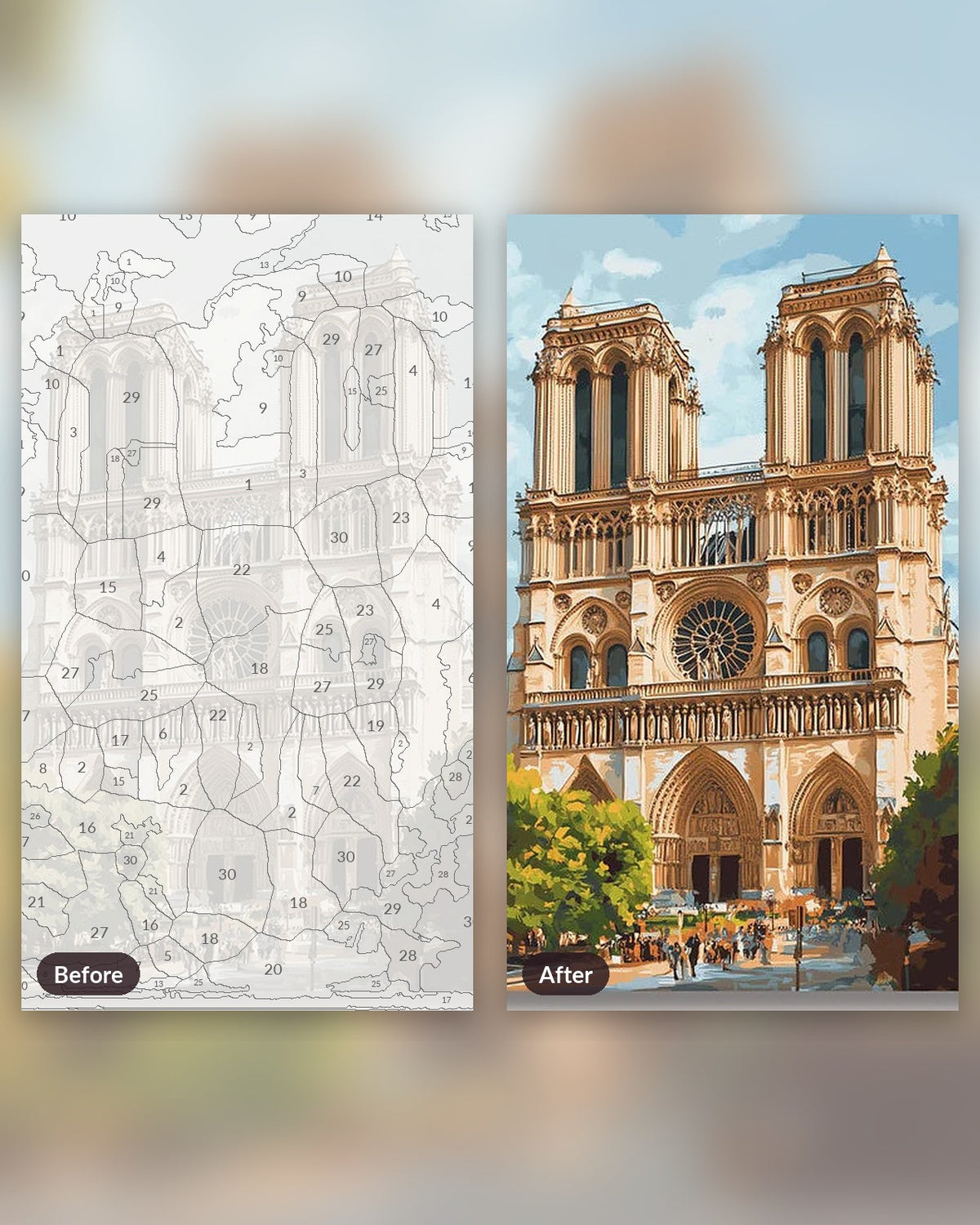 Magnificent Notre Dame paint by numbers kit, before and after