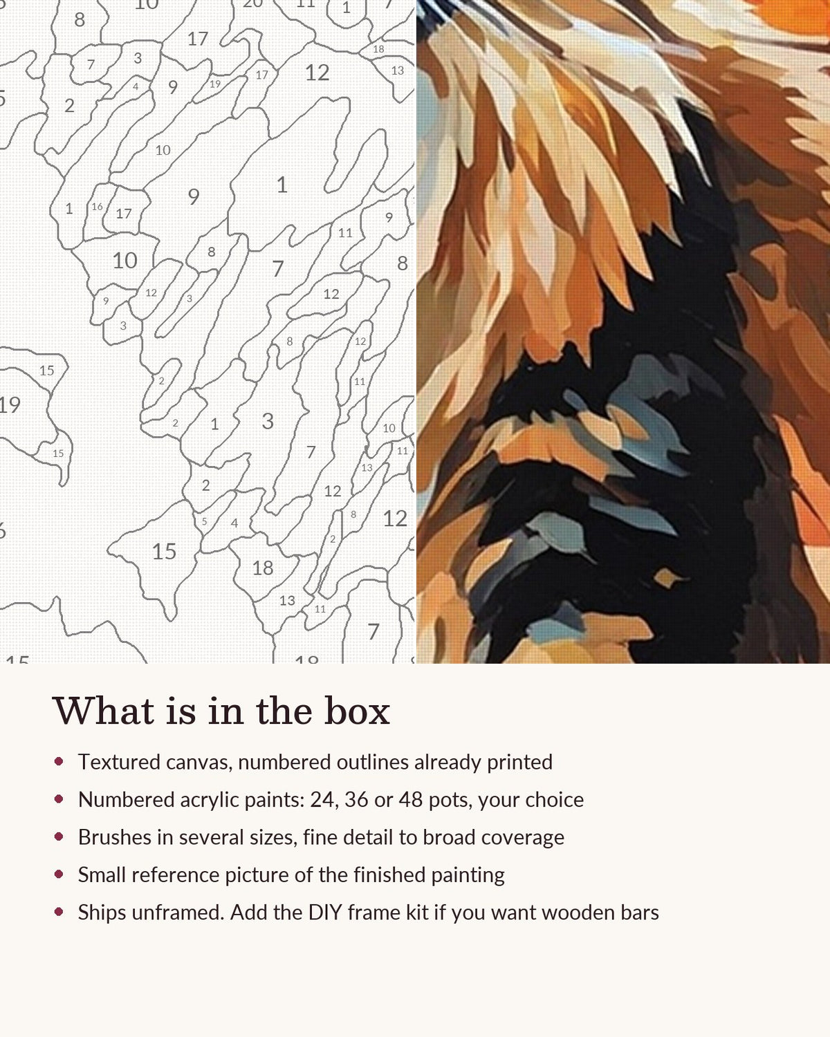 Close-up of the Maine Coon in the Autumn Forest canvas texture and printed numbers