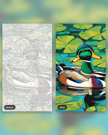 Mallard on the Lily Pond paint by numbers kit, before and after