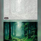 Misty Forest paint by numbers kit, before and after