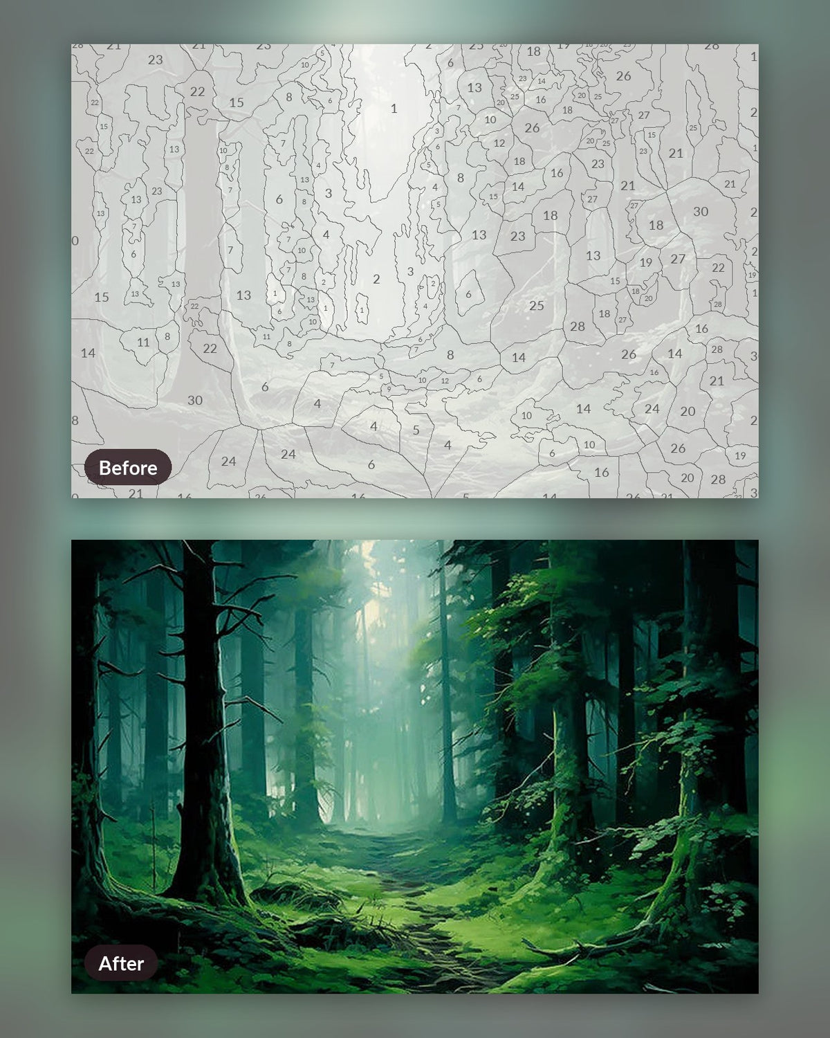 Misty Forest paint by numbers kit, before and after