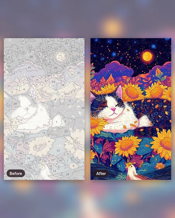 Moonlit Meadows paint by numbers kit, before and after