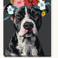 Noble Pitbull paint by numbers kit on stretched canvas