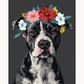 Noble Pitbull Premium Collection Canvas Art Kit