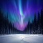 Northern Lights over the Pines paint by numbers kit