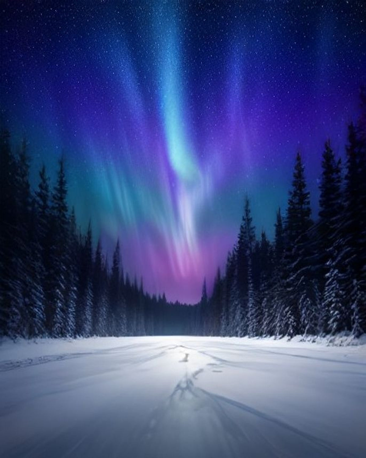 Northern Lights over the Pines paint by numbers kit