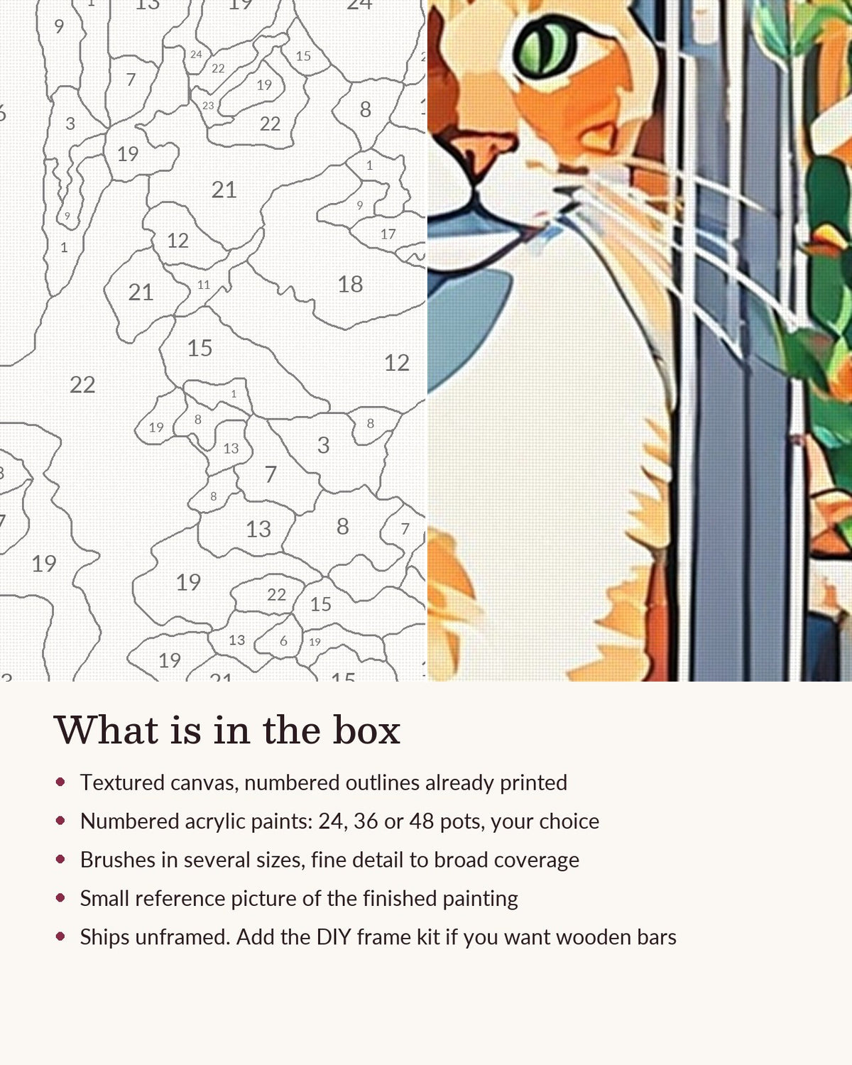 Close-up of the Orange Cat on the Windowsill canvas texture and printed numbers