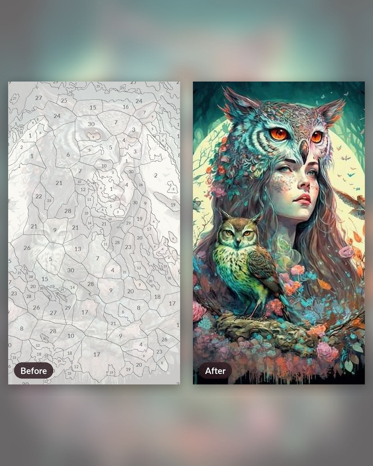 Owl Mistress paint by numbers kit, before and after