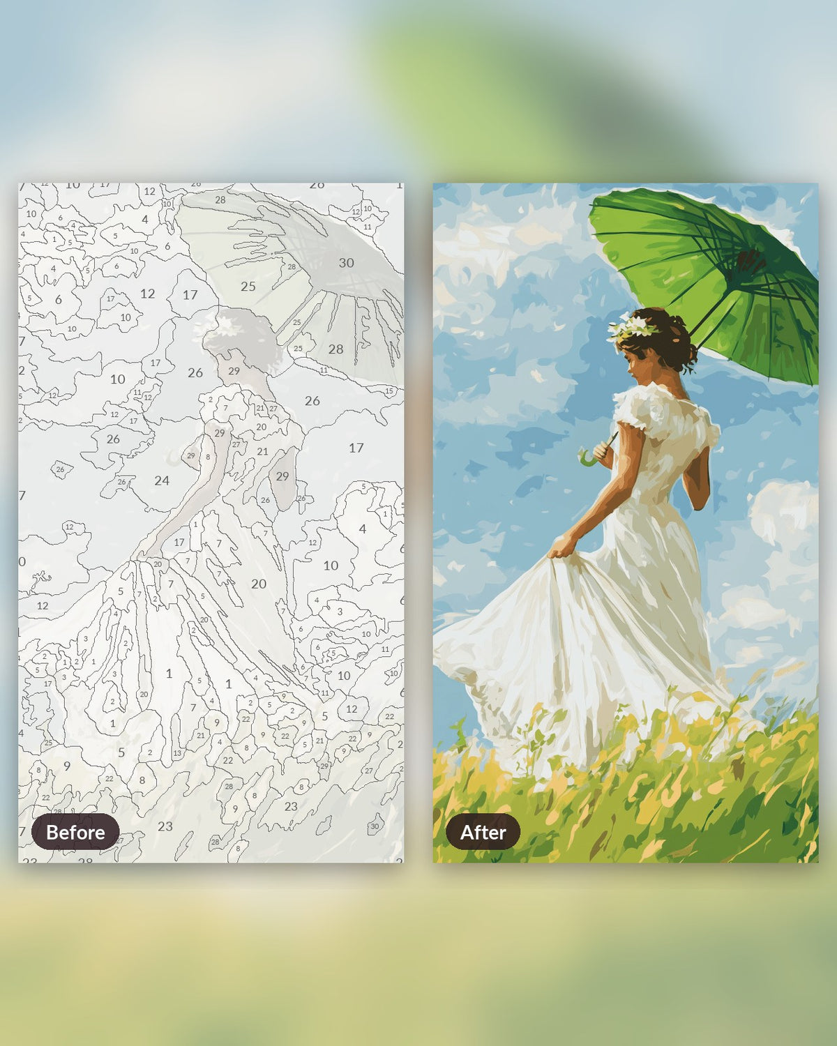 Parasol-Clad Lady paint by numbers kit, before and after