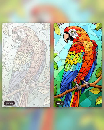 Parrot in Mosaic paint by numbers kit, before and after