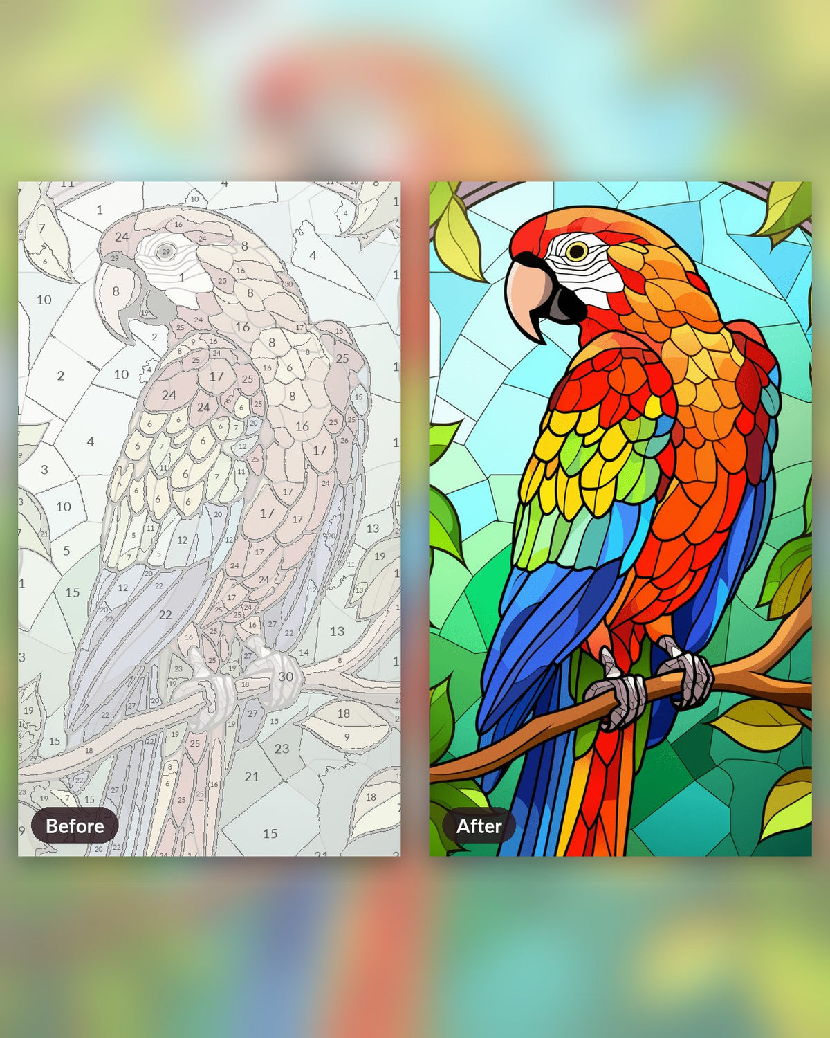 Parrot in Mosaic paint by numbers kit, before and after